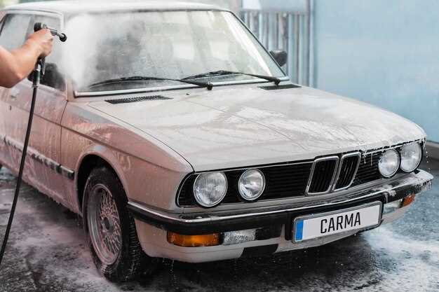 Советы по хранению и содержанию щеток в зимний период