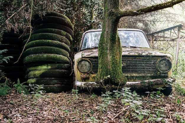 Lada Niva 212300 55: Практическое руководство