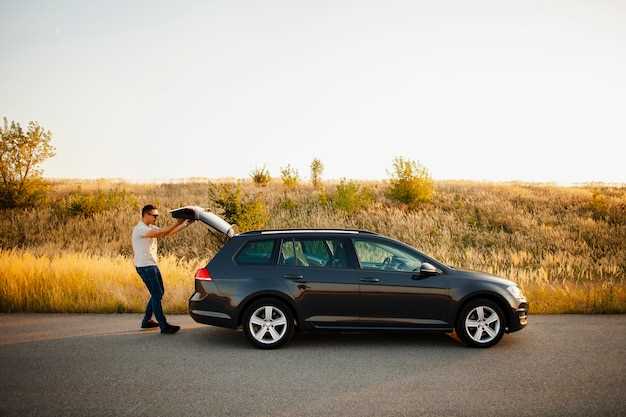 Практические аспекты покупки и обслуживания Toyota Vista Drom